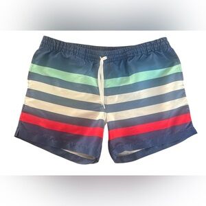 Chubbies Multicolor Striped Swim Trunks